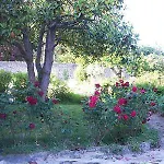 Aggarthi Bed & Breakfast