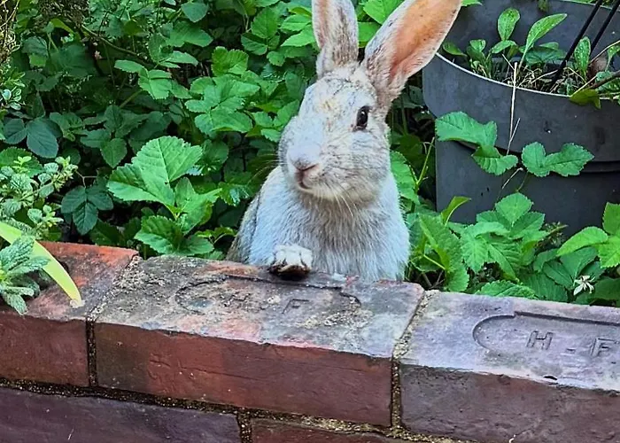 Aggarthi Bed & Breakfast