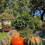 Aggarthi Nocleg ze śniadaniem 3*