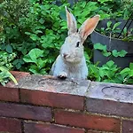 Aggarthi Nocleg ze śniadaniem