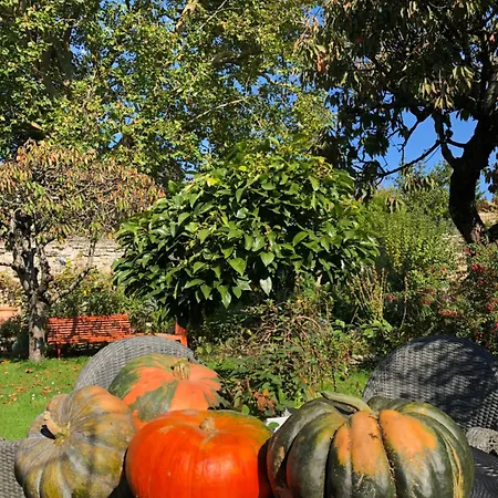 Aggarthi Bed & Breakfast 3*