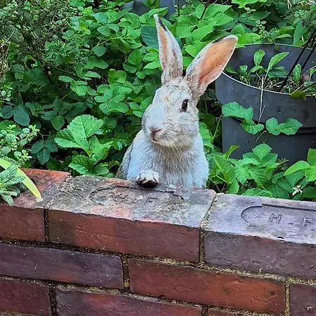 Aggarthi Bed & Breakfast