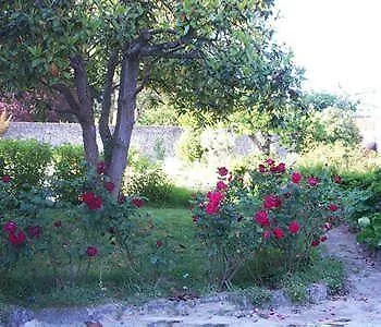 Aggarthi Bed & Breakfast